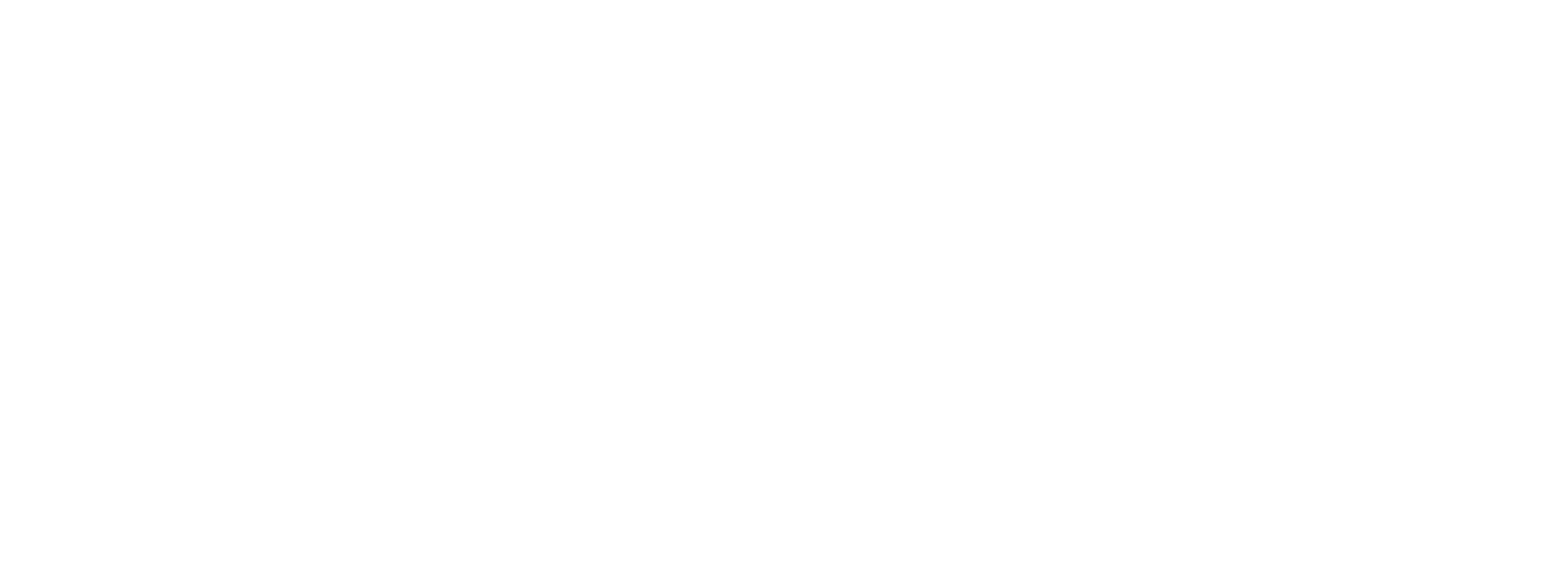 VMN media